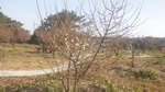 SH3L0057.jpg